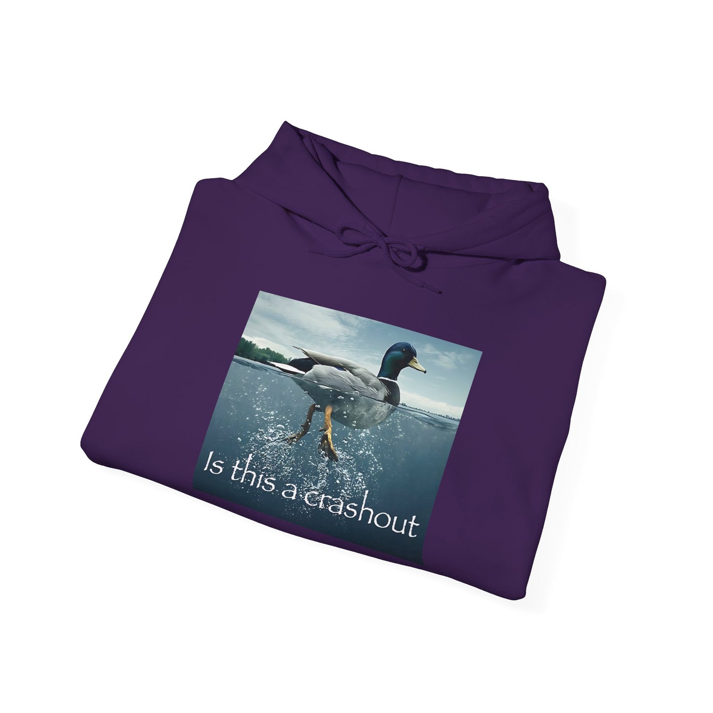 "duck" hoodie