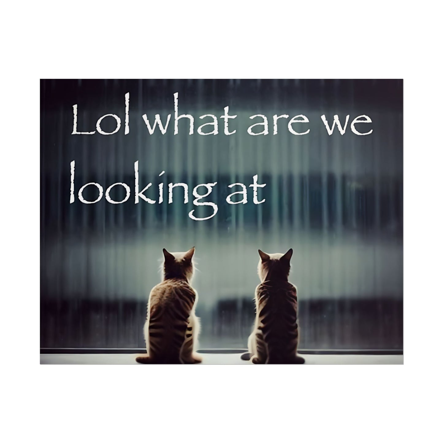 "Lol what are we looking at" poster