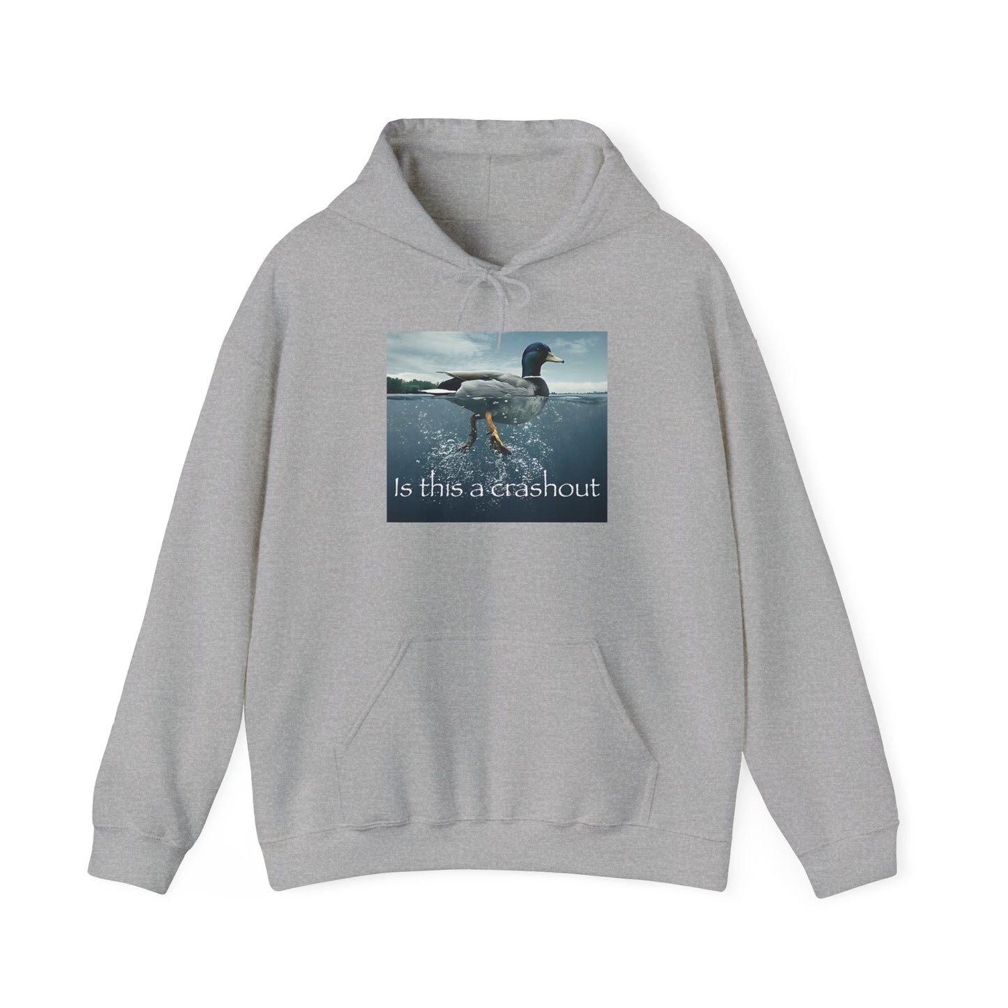 "duck" hoodie
