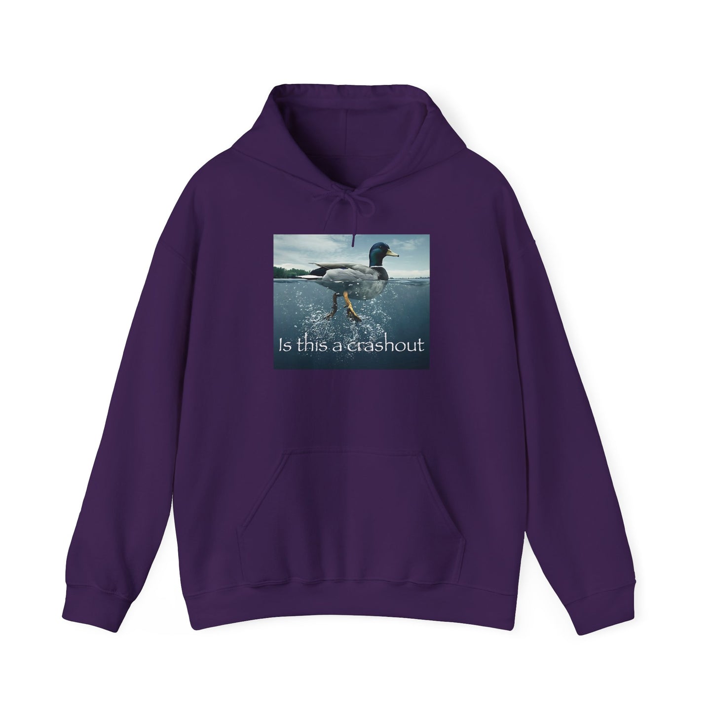 "duck" hoodie