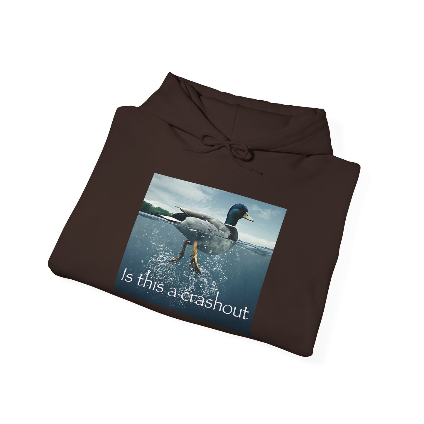 "duck" hoodie