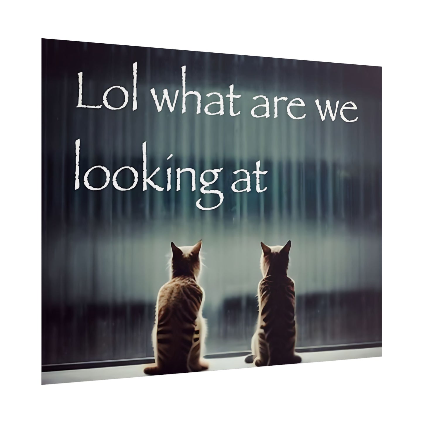"Lol what are we looking at" poster