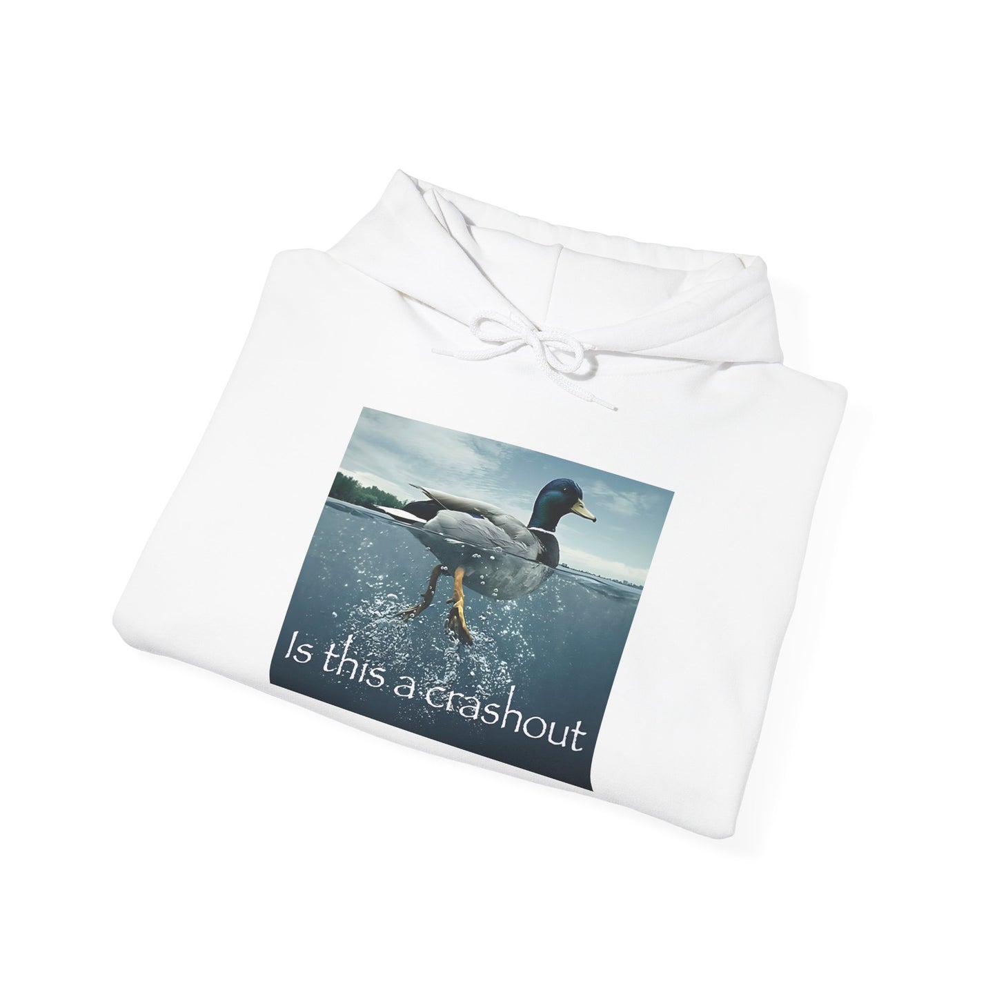 "duck" hoodie