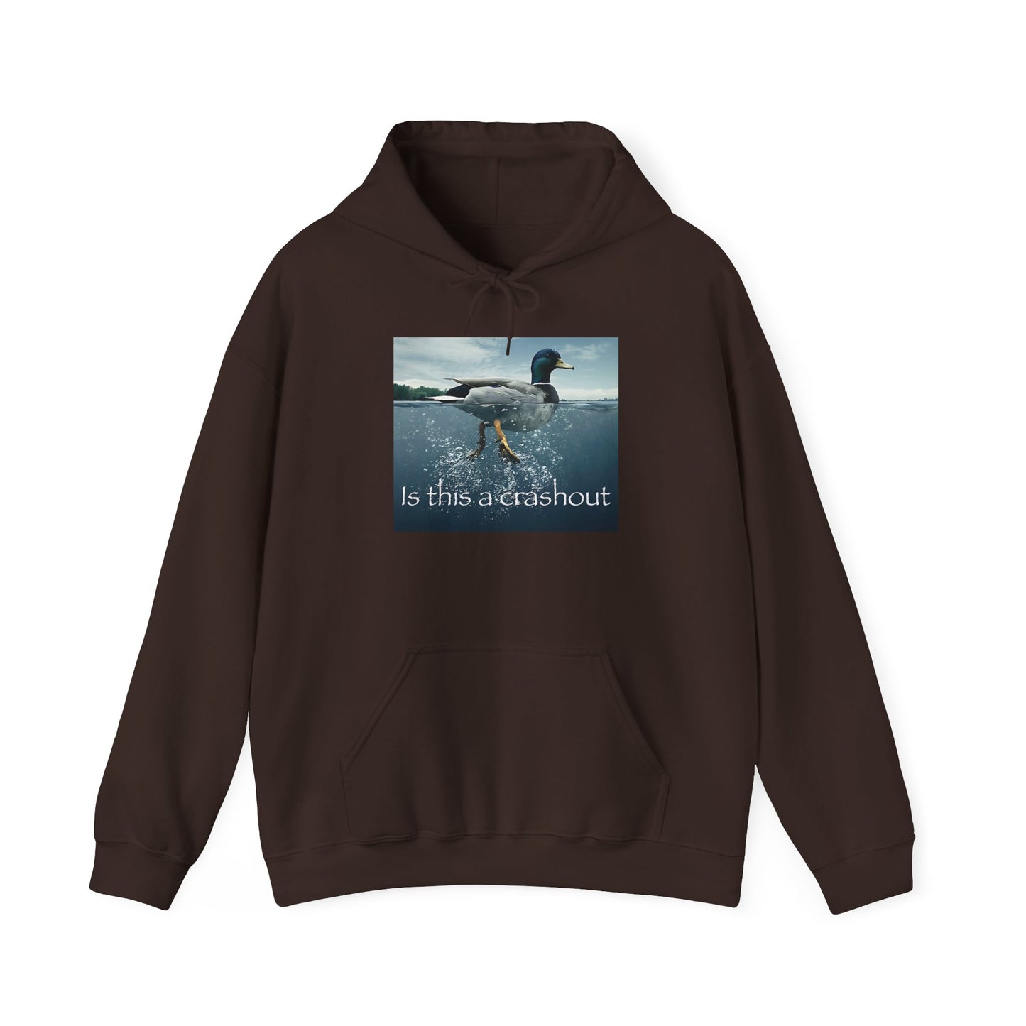 "duck" hoodie