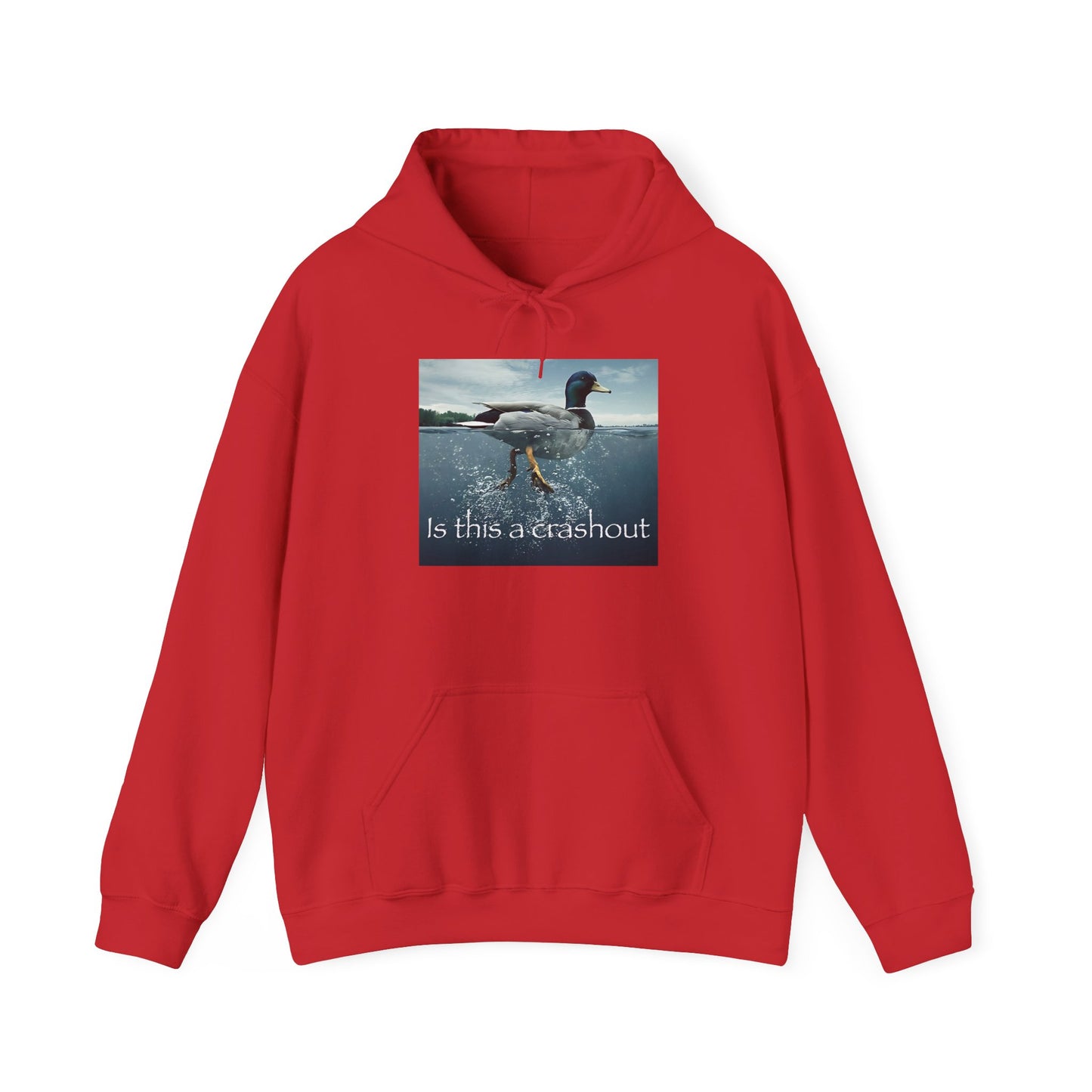 "duck" hoodie