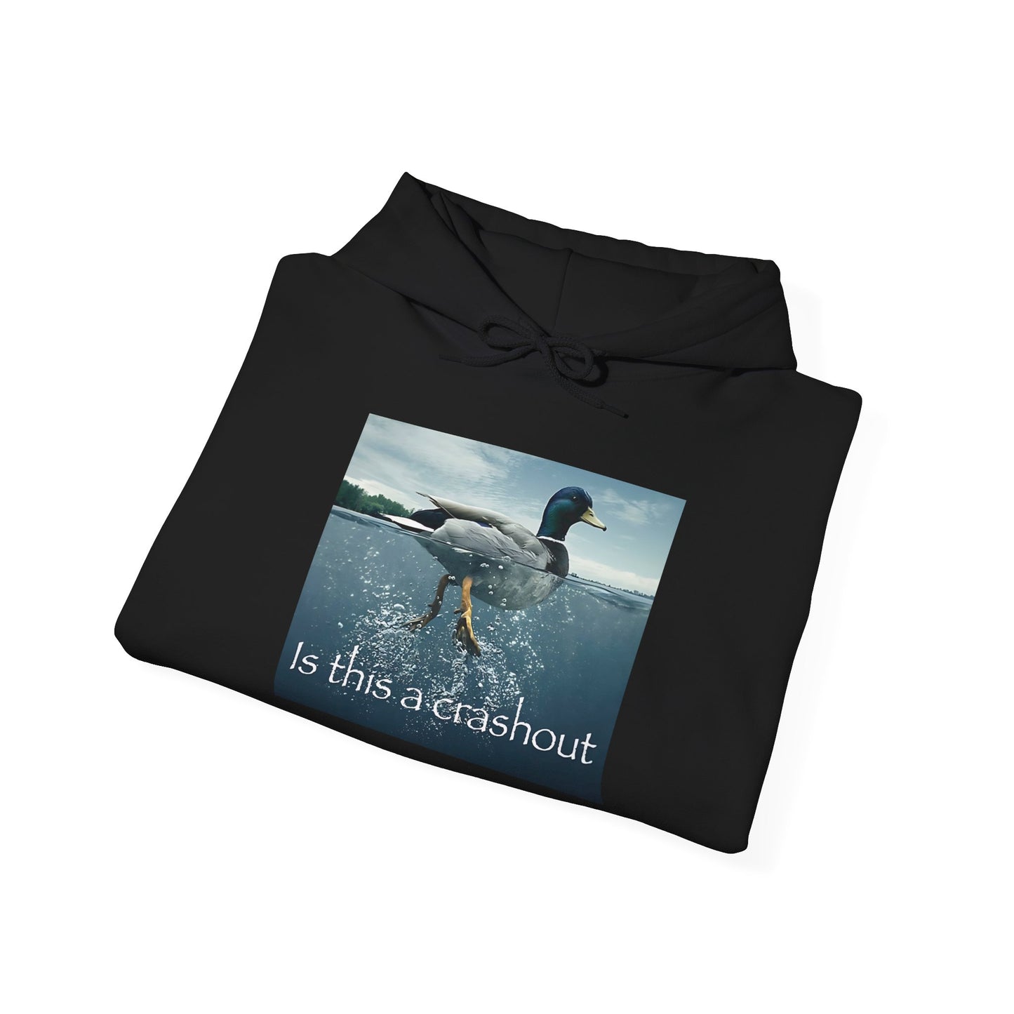 "duck" hoodie