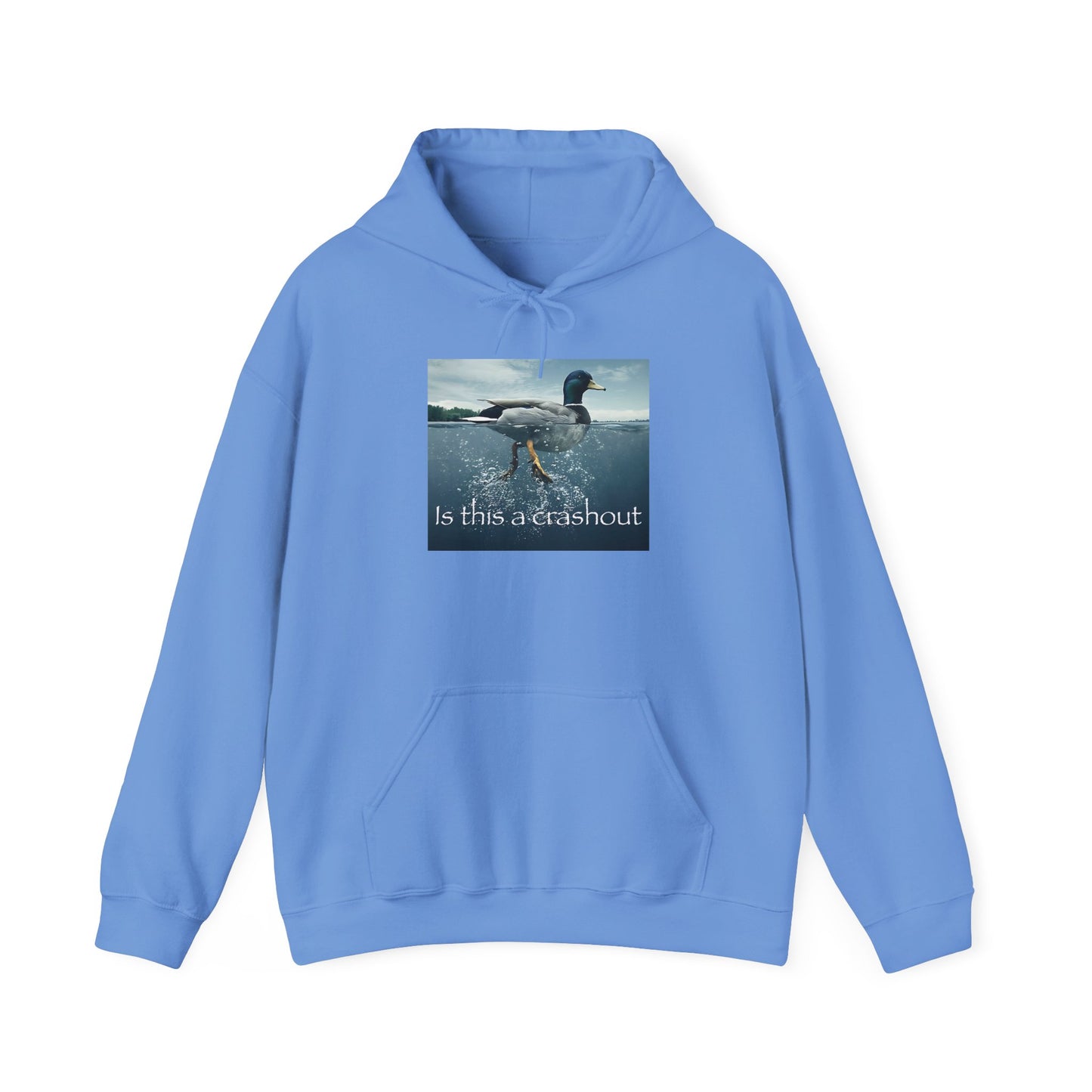 "duck" hoodie