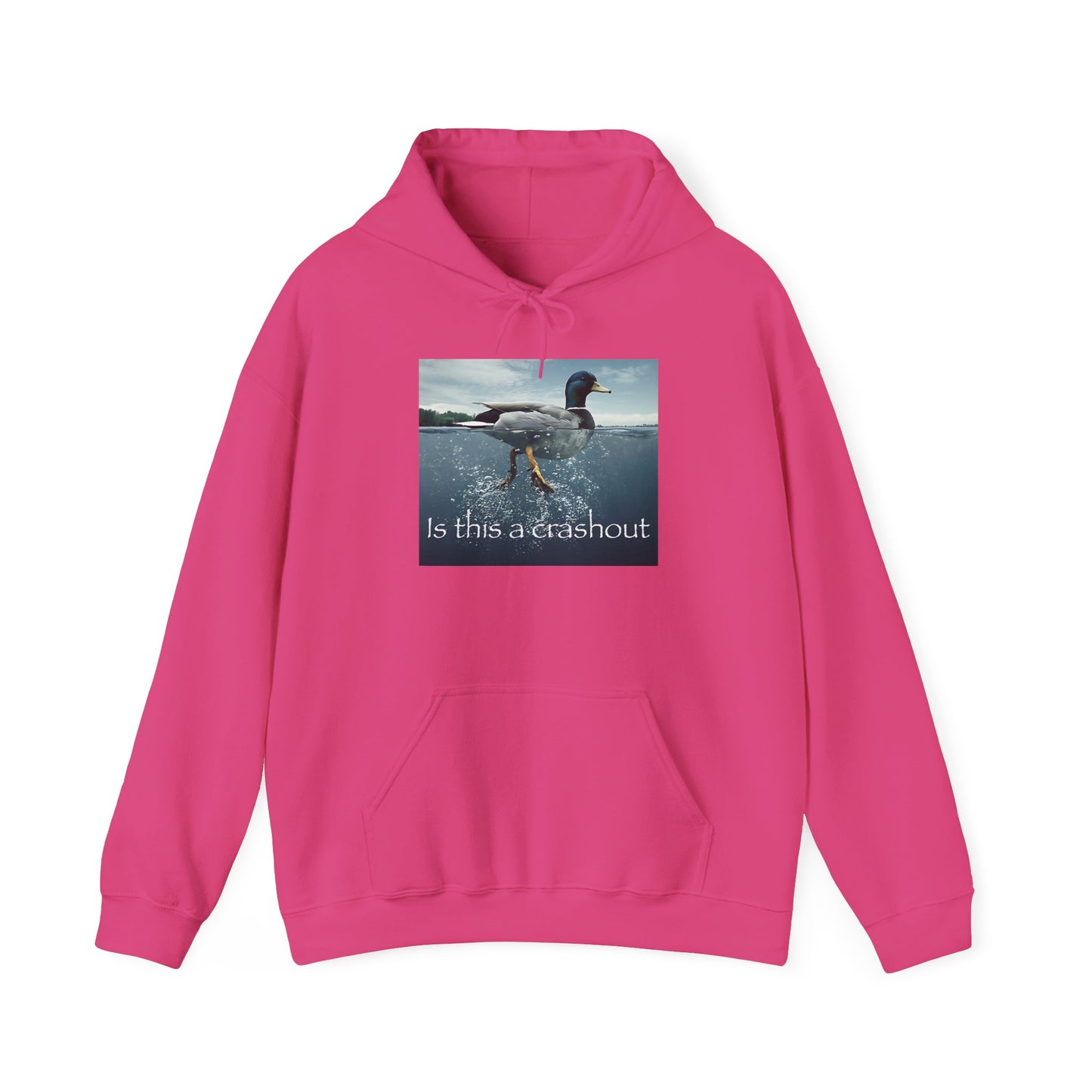 "duck" hoodie