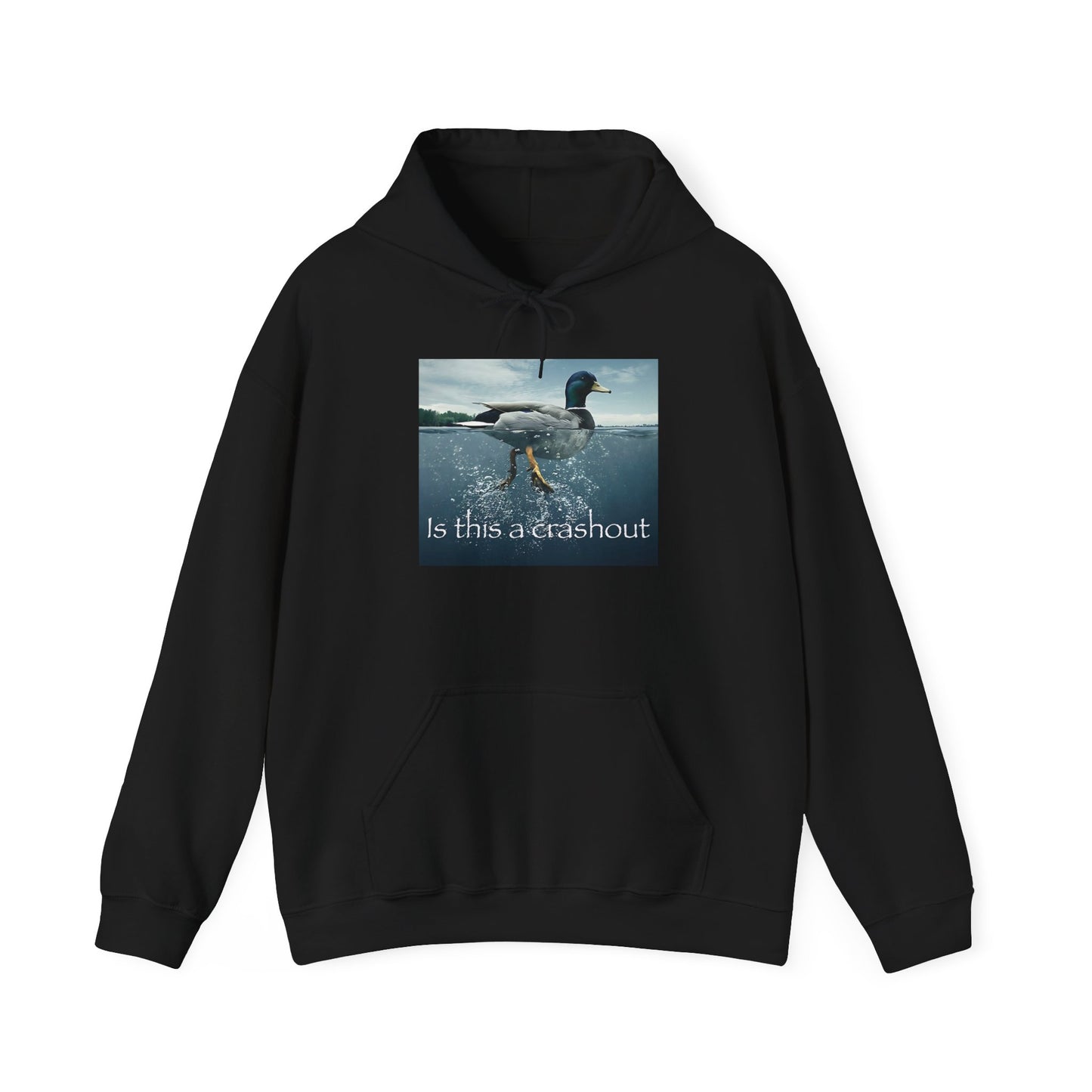 "duck" hoodie