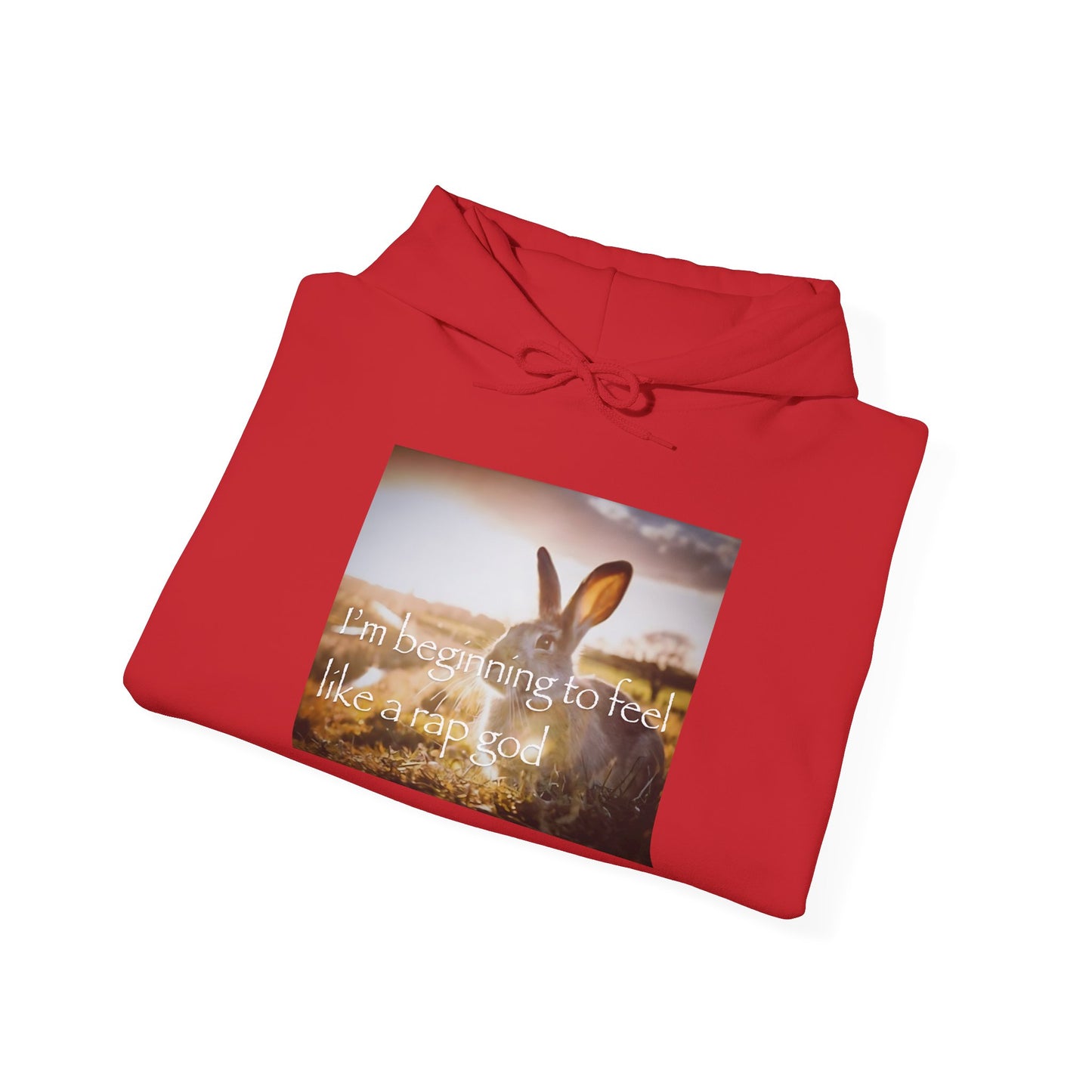 "happy rabbit" hoodie
