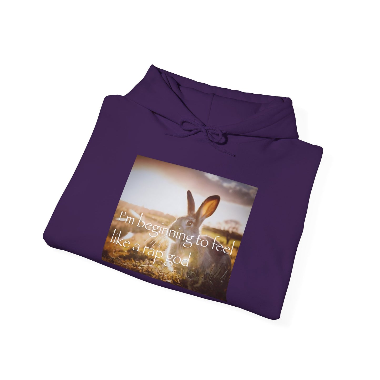 "happy rabbit" hoodie
