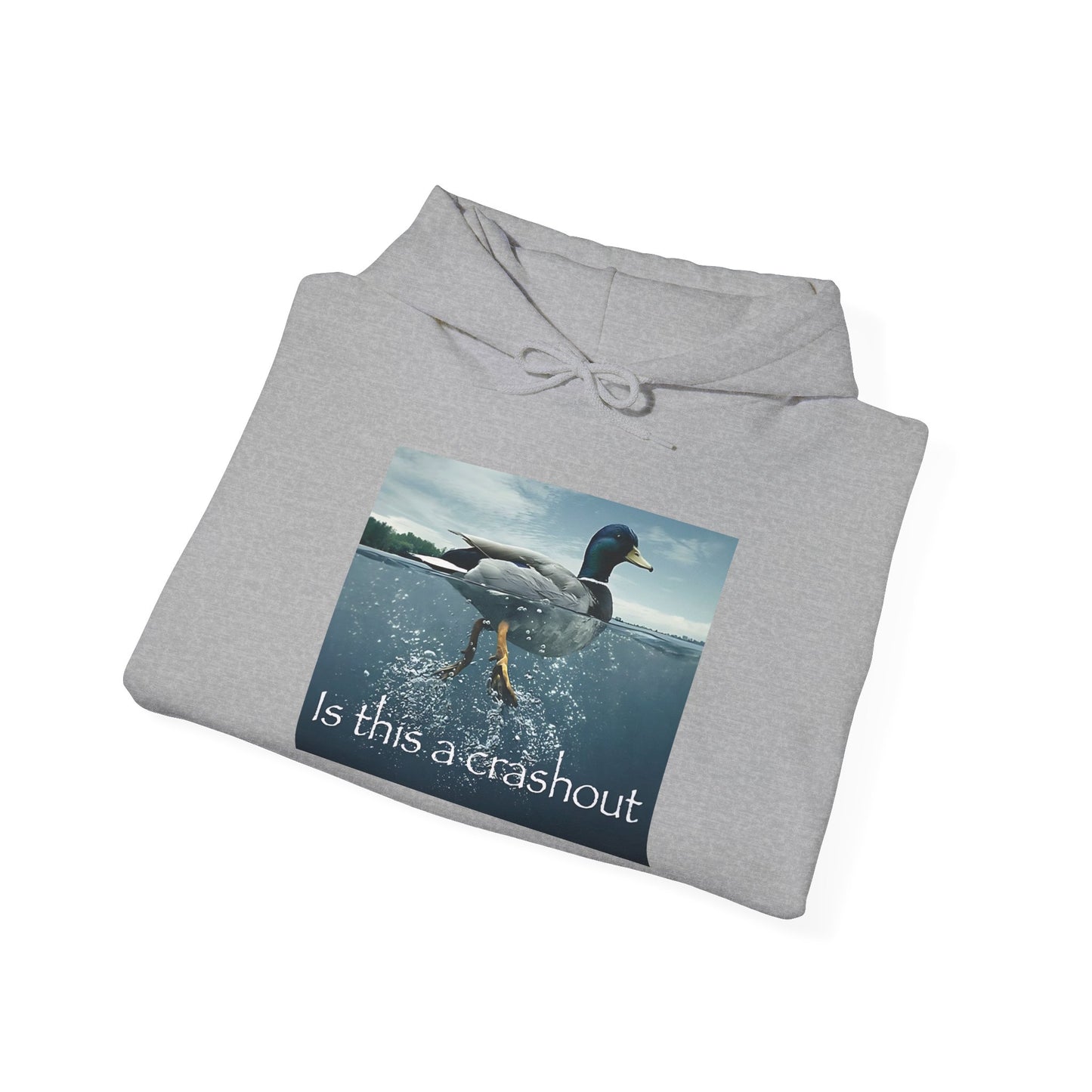 "duck" hoodie