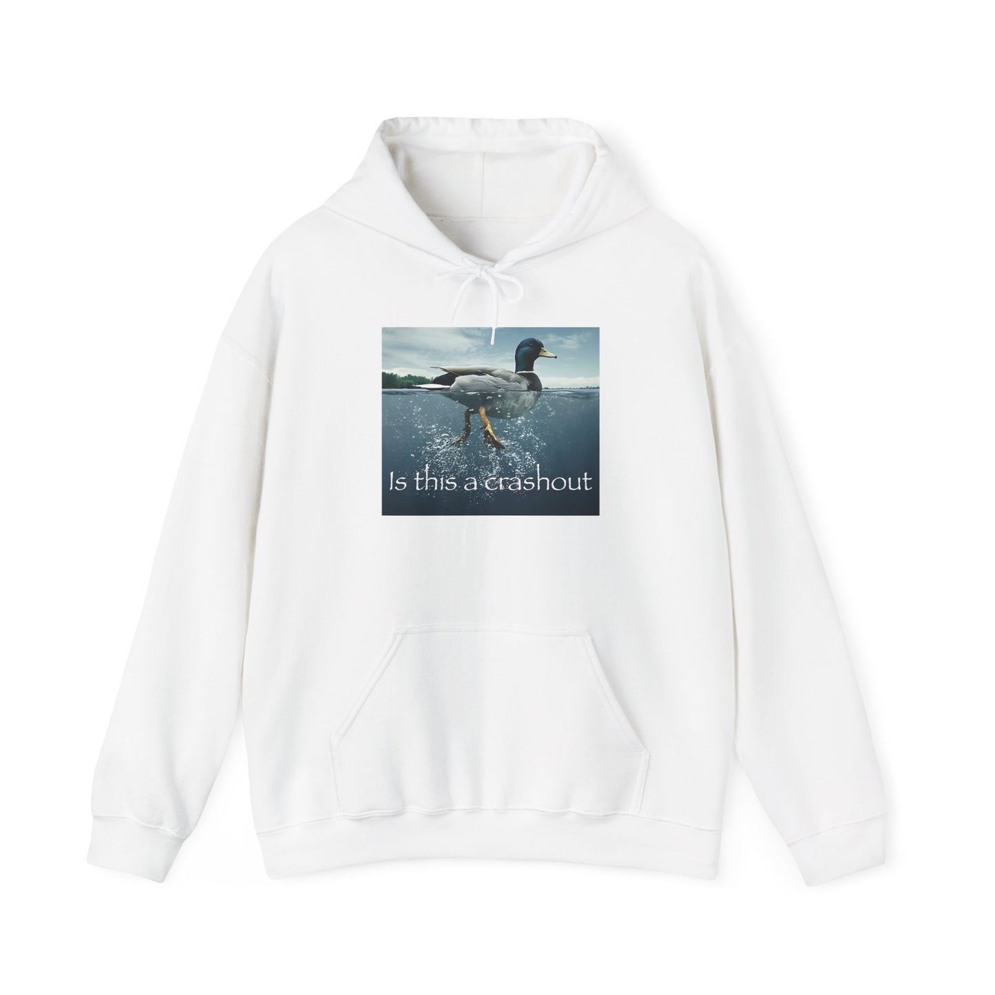 "duck" hoodie